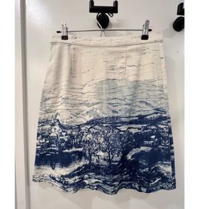 Anthropologie Toile skirt